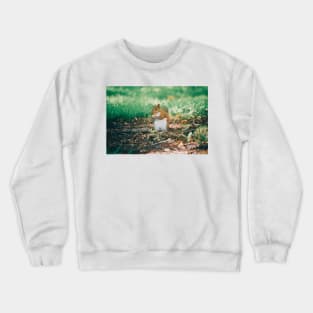 Squirrel! Crewneck Sweatshirt